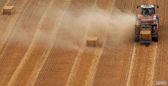 travaux agricole